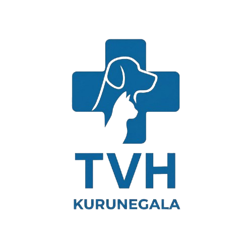 Diamond Hospital 2